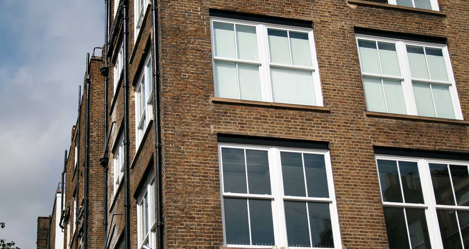 Alpha Windows Sash Windows 4